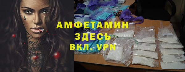 ПСИЛОЦИБИНОВЫЕ ГРИБЫ Осинники