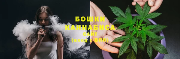 сатива Пестово