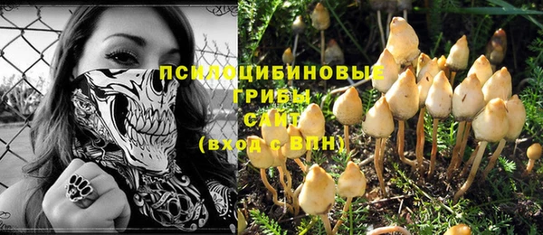 сатива Пестово