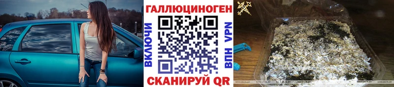 Галлюциногенные грибы Cubensis Андреаполь